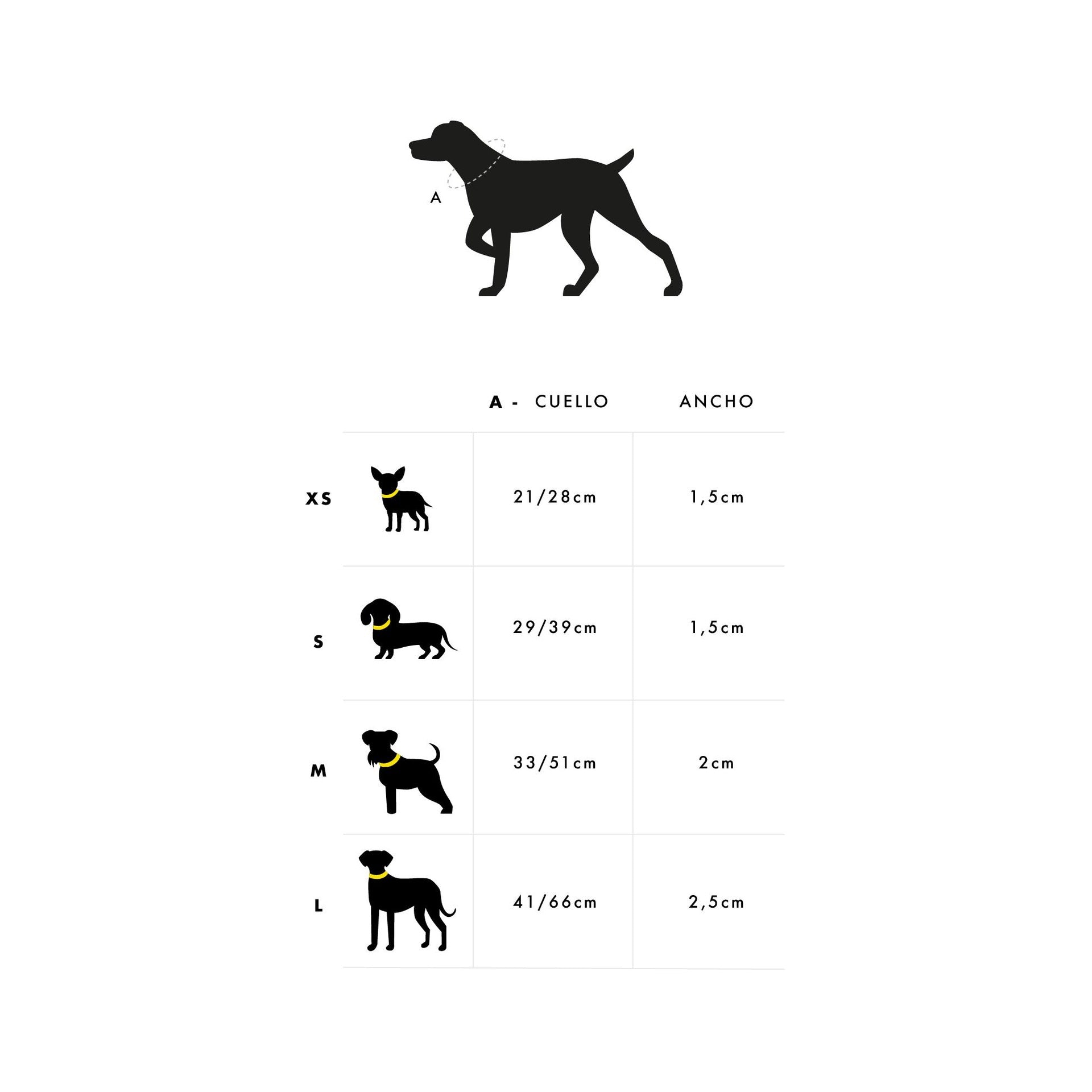 Collar para perro PRINCESS Dukier XS