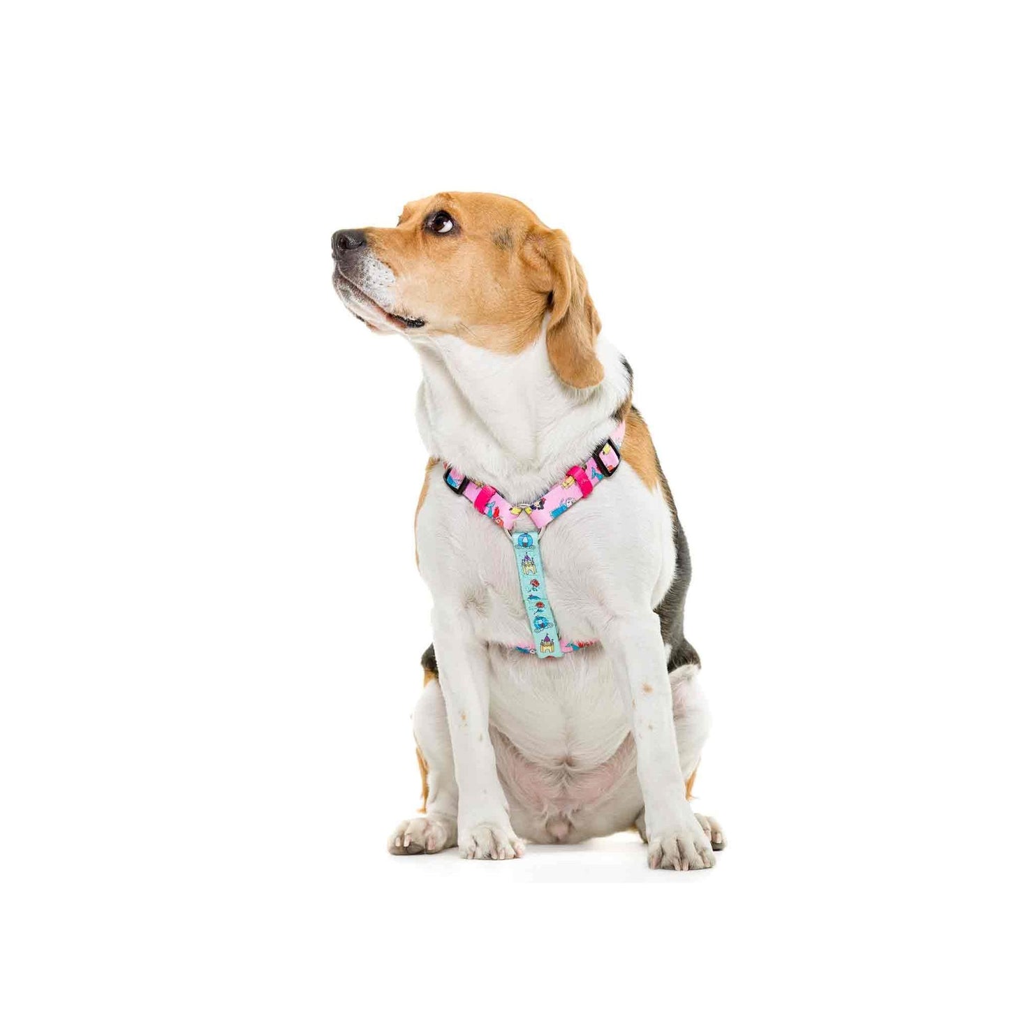 Arnés clásico para perro PRINCESS Dukier Talla L L