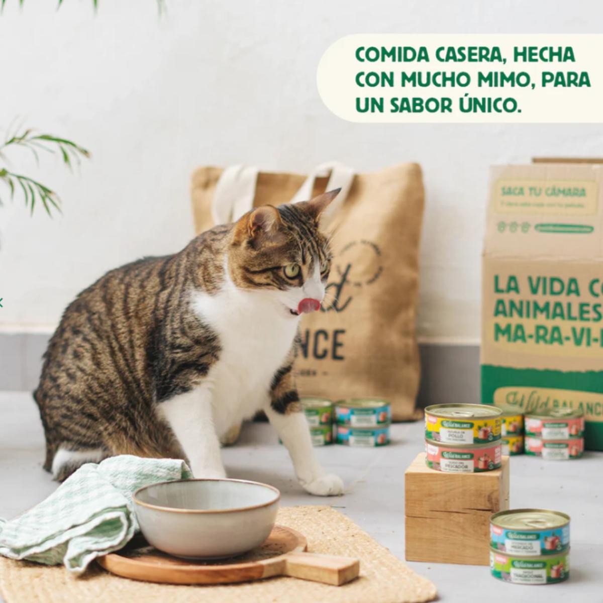 Pack 6x Ragut tradicional de ternera y pollo para gatos 6 x 80 g + Regalo: Tapa reutilizable para latas, Wild Balance