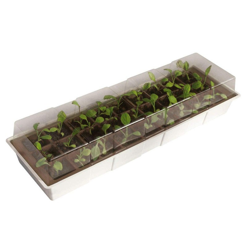 Mini invernadero repisa ventana Kit Windows Nortene 49x15,5 cm