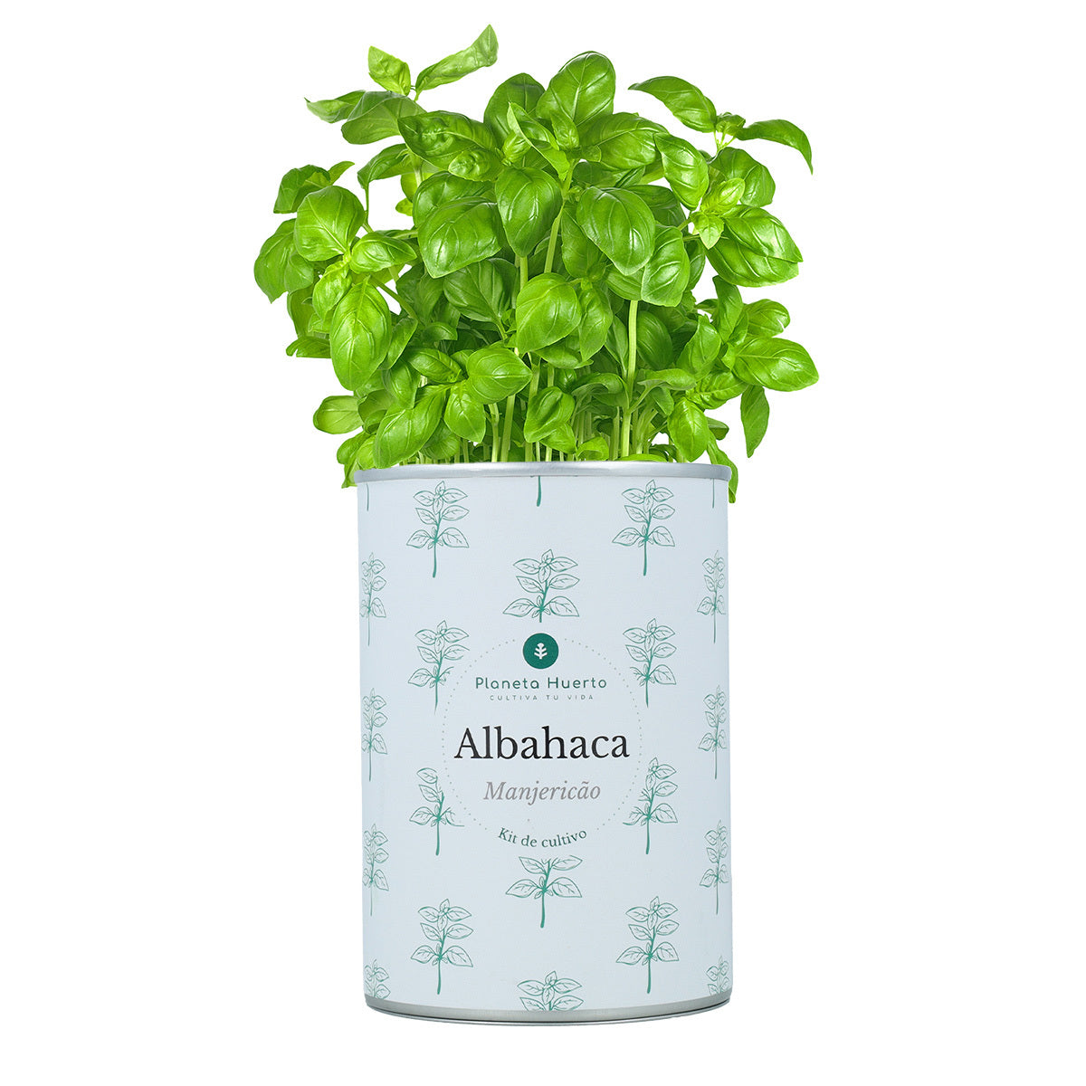 Kit de cultivo aromáticas Albahaca Planeta Huerto
