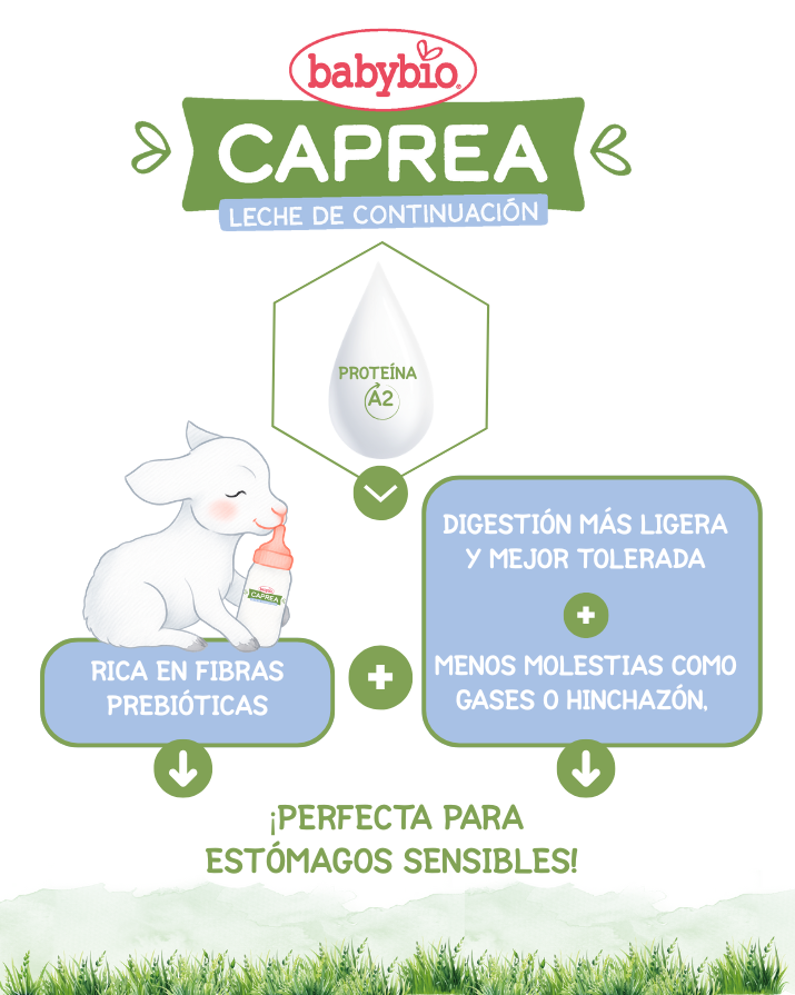 Leche de Cabra Caprea 2 Babybio 800 g