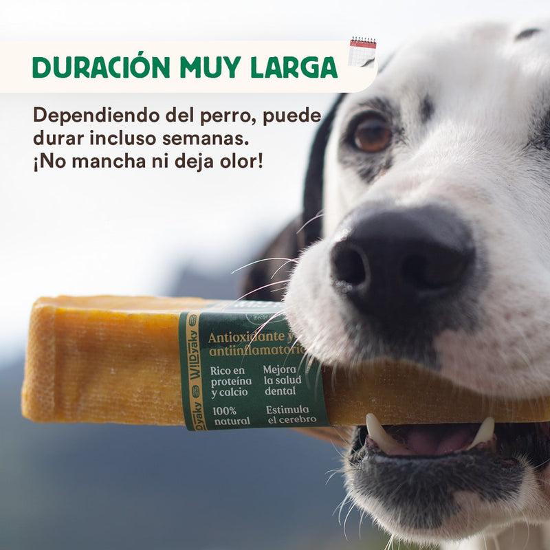 Mordedor Wild Yaky Golden Barrita de Leche de Yak del Himalaya con Cúrcuma Wild Balance 1 ud M+