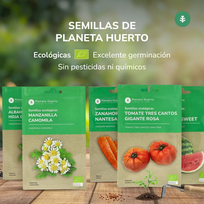 Semillas de Pimiento largo de Reus ecológicas Planeta Huerto