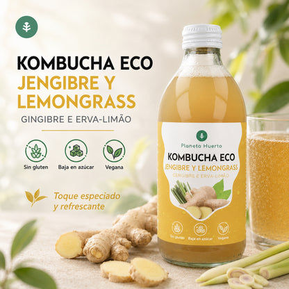 Kombucha ECO Gember en citroengras Planeta Huerto 330 ml