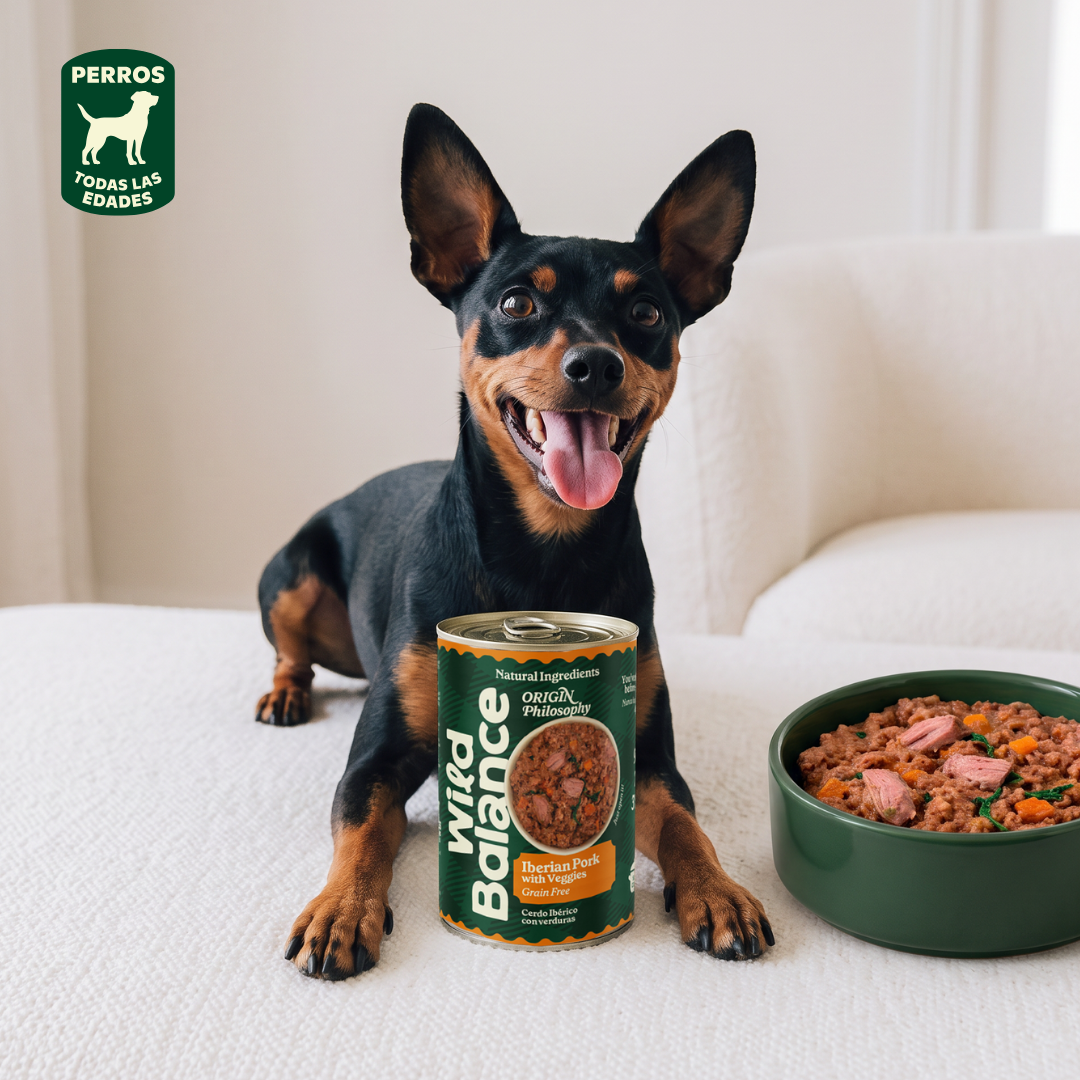 Blik varkensvlees en groenten BARF voor honden Wild Balance 400 g