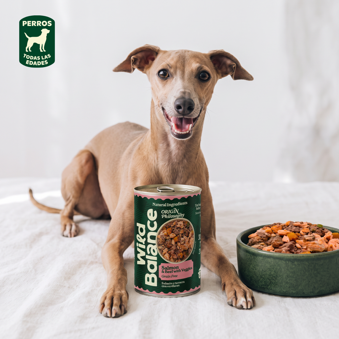 Blik BARF zalm en rundvlees voor honden Wild Balance 400 g