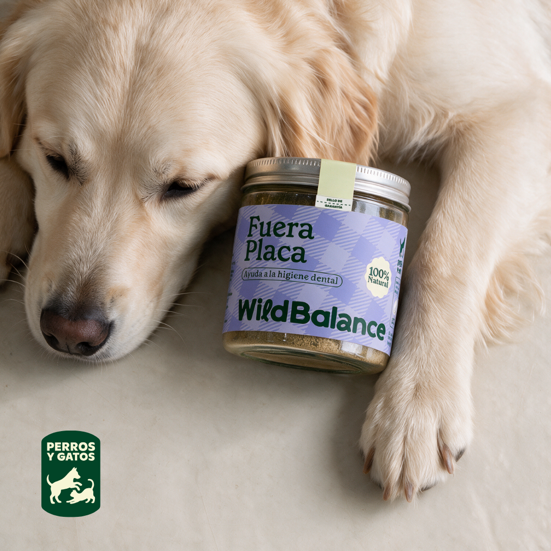 Fuera Placa Supplement voor huisdieren Wild Balance 100 g