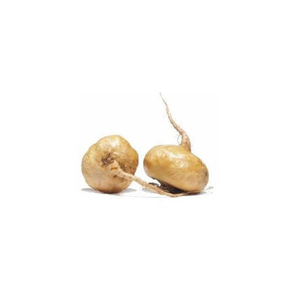 Cápsulas Maca Andina Ecológica 500 mg Marnys, 60 unidades