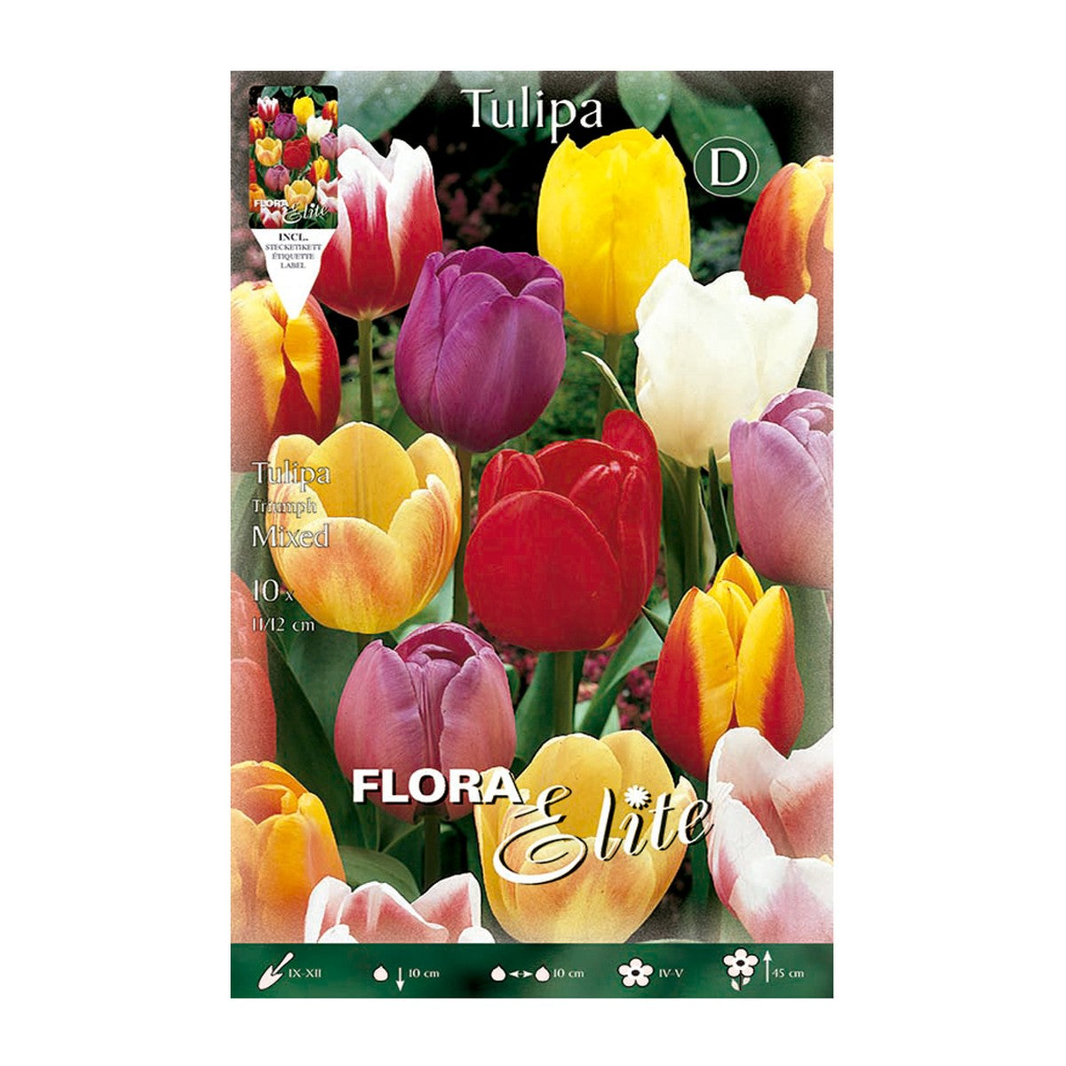 Bulbos Tulipán mezcla 10 uds
