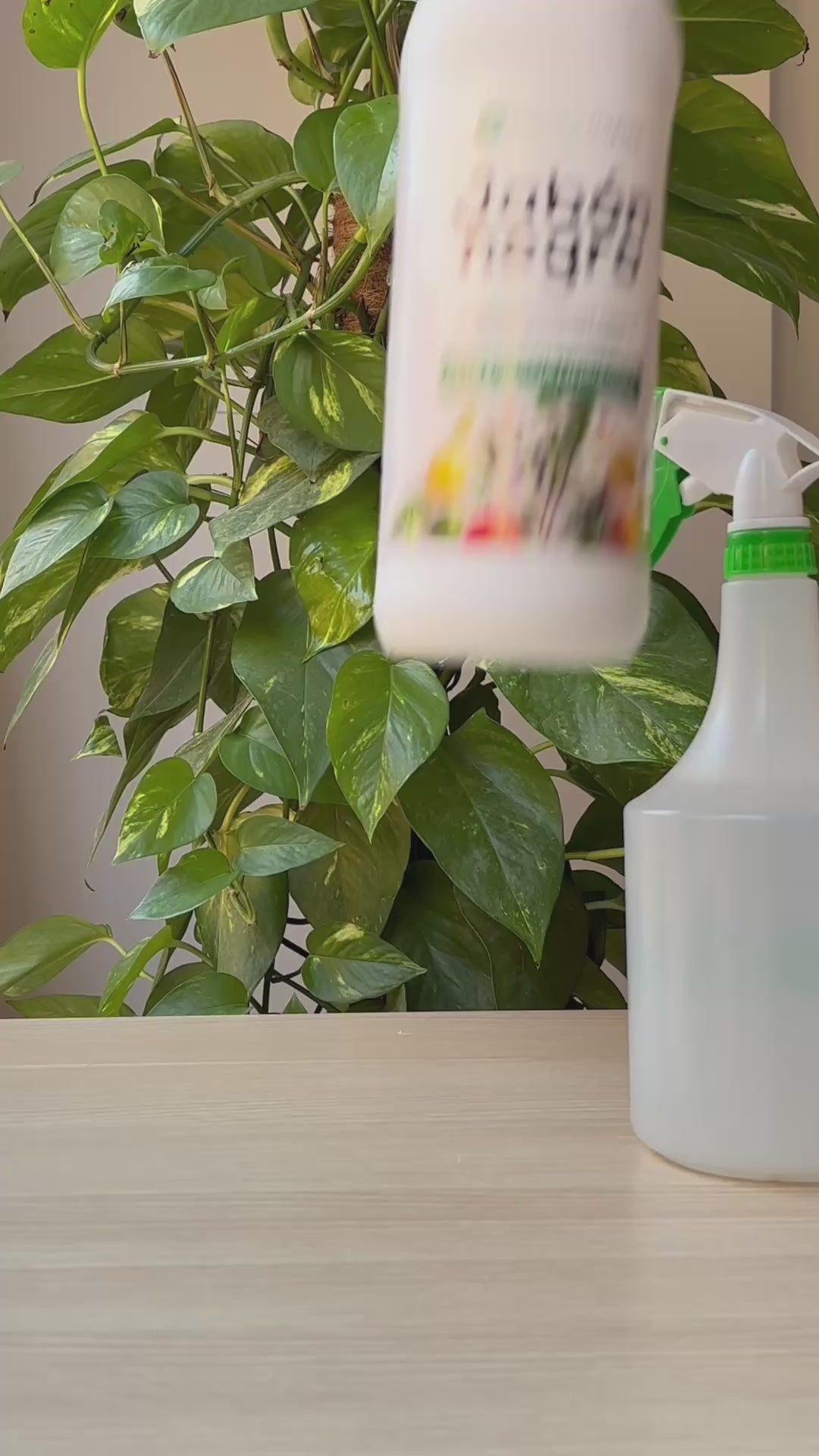 Kaliumzeep Negro Planeta Huerto 1 L