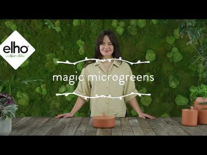 Kiemapparaat Magic Microgreens Elho Groen